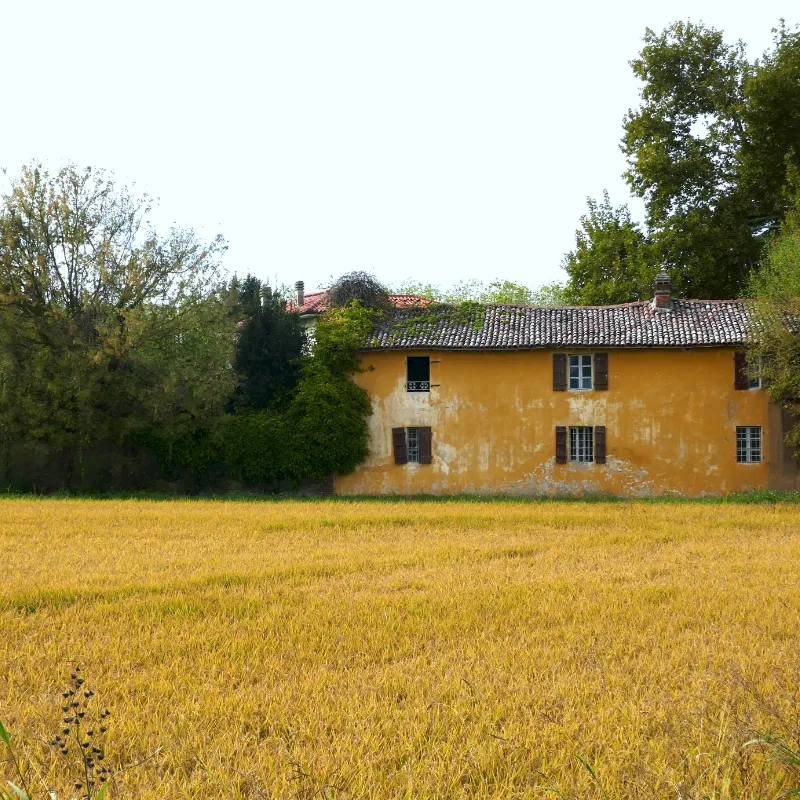 Reismühle Riseria Masinari